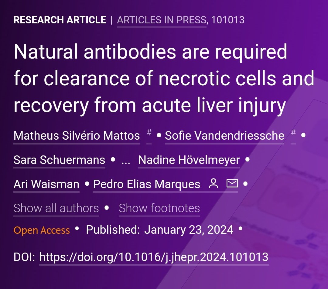 JHEP_Reports's tweet photo. 🟪NEW Article in press❕

Natural antibodies are required for clearance of necrotic cells and recovery from acute liver injury

🔓#OpenAccess at 👉 https://t.co/eb7VvUk1TR

#LiverTwitter https://t.co/o93ptZnVxL