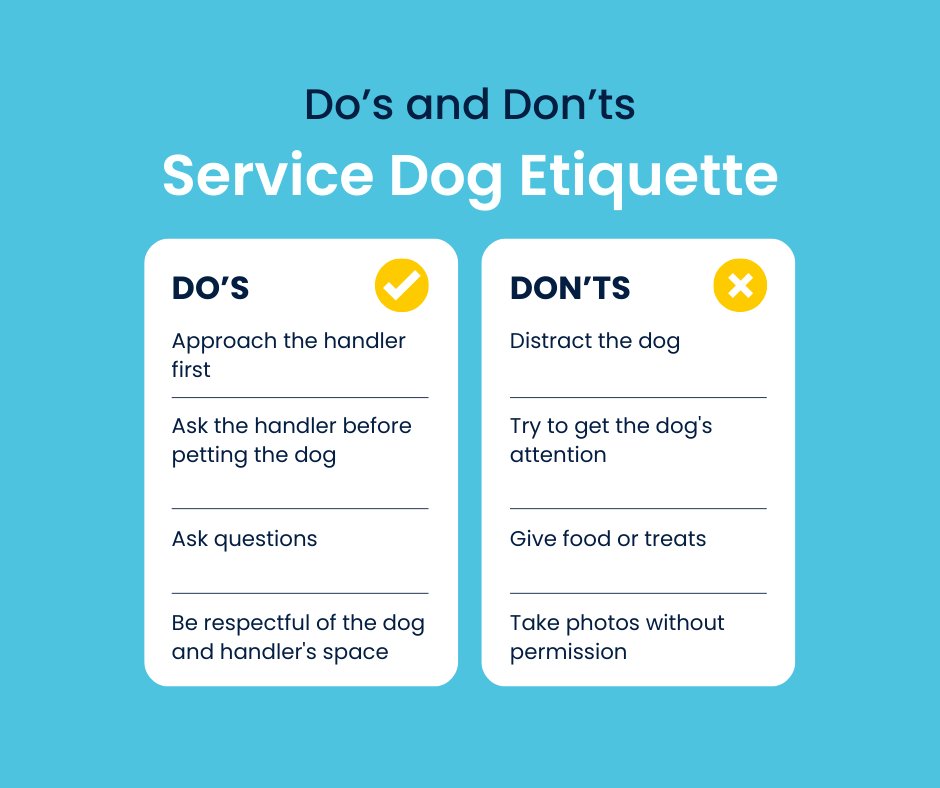 canineorg's tweet photo. 📚 Let's celebrate #InternationalDayofEducation by learning about service dog etiquette! Share this post on your Facebook page to spread awareness about the do's and don'ts. ✔️❌ 

#servicedog #community #educate #learn #LeadWithIndependence https://t.co/SlyqU3z3cF