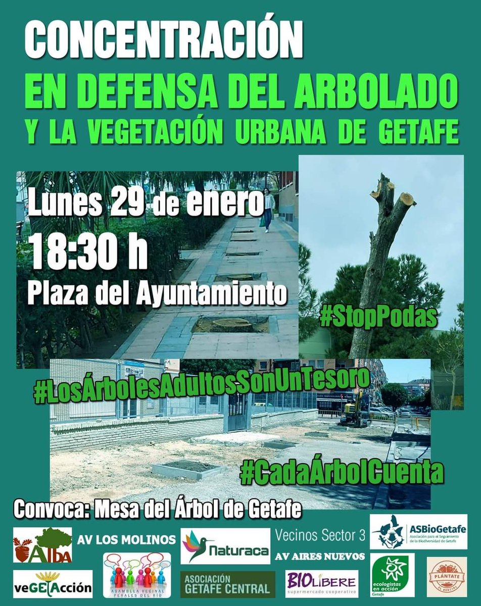Si crees que la gestión del arbolado en #Getafe debe mejorar ¡No lo dudes! ¡Vente!
📆 Lunes 29 de enero
🕐 18:30 h
📌 Plaza de la Constitución, frente al Ayuntamiento de Getafe
#CiudadesHabitables #CadaÁrbolCuenta #LosÁrbolesNoSonMobiliarioUrbano #StopArboricidio #NoMásTalas