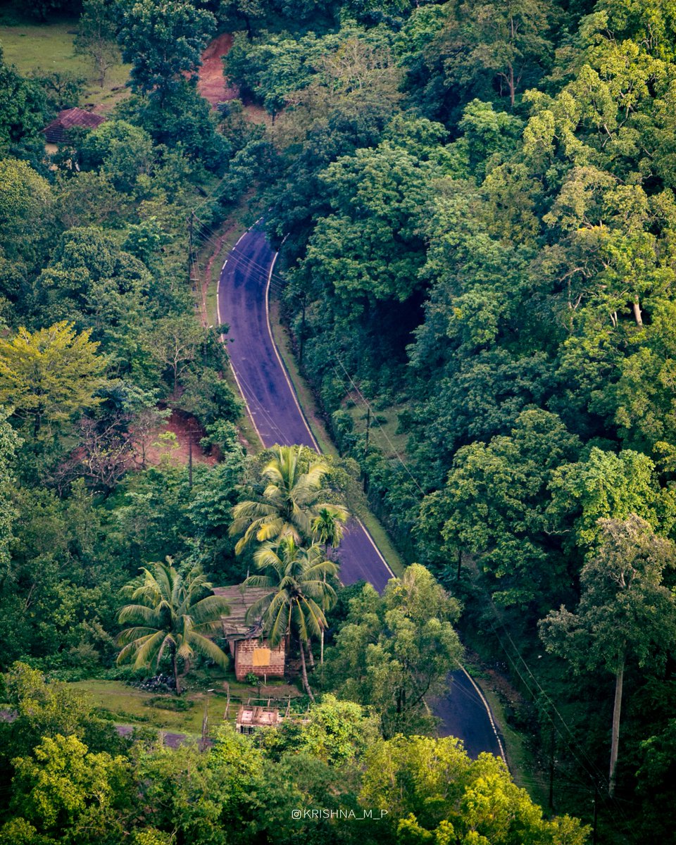 krishna_m_p's tweet photo. 💚
.
#hulikalghat #NatureBeauty #Karnataka #nikon #2024 https://t.co/isLeugOIB0