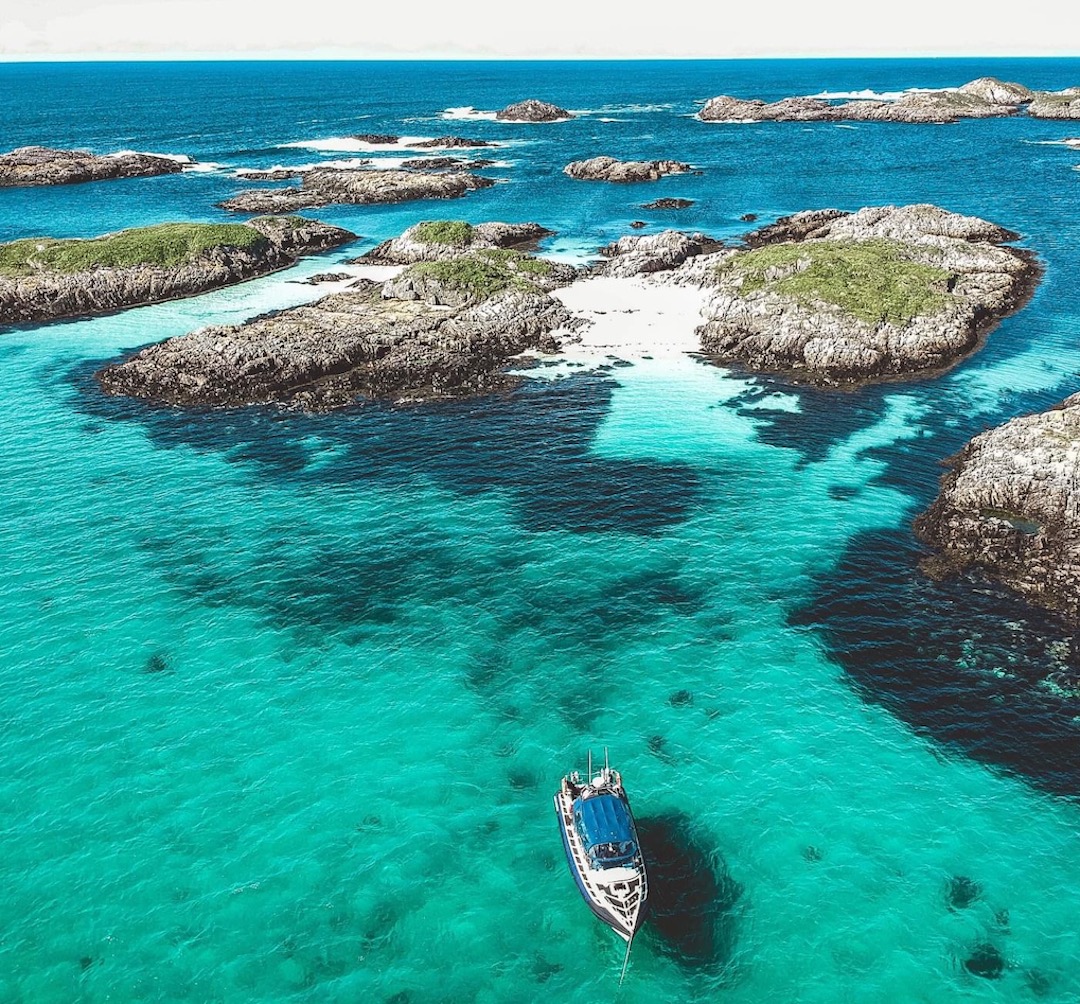Fancy a day of cruising &amp; exploring the Treshnish Islands - Fingals Cave, Staffa, Mull &amp; Iona on a private charter boat with 11 other LGBTQ+ women?
The dolphins regularly swim alongside the boat (not guaranteed).

outsavvy.com/event/18147/ch…