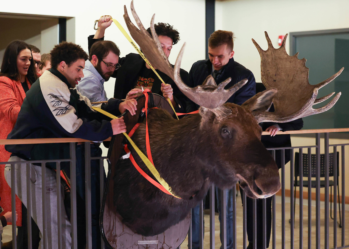 umontana's tweet photo. Bertha the moose is missing! UM law students swiped the iconic mounted moose head from the forestry building, igniting the century-old tradition leading up to the 105th Forester's Ball – an annual swing dance held in a historic logging town on campus.
🌲https://t.co/Ph7msoacUH https://t.co/HmiZSlXf0U