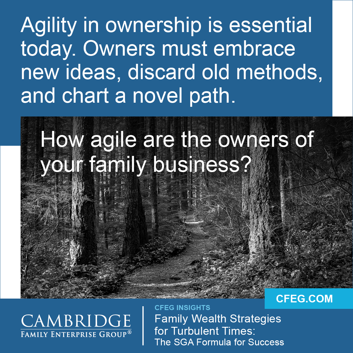 Not every family or family enterprise will survive, let alone thrive, during turbulent times.

Successful owning-families adopt a three-pronged formula for building family wealth in this changing era: Stability, Growth, and Agility (SGA).

cfeg.com/insights_resea…