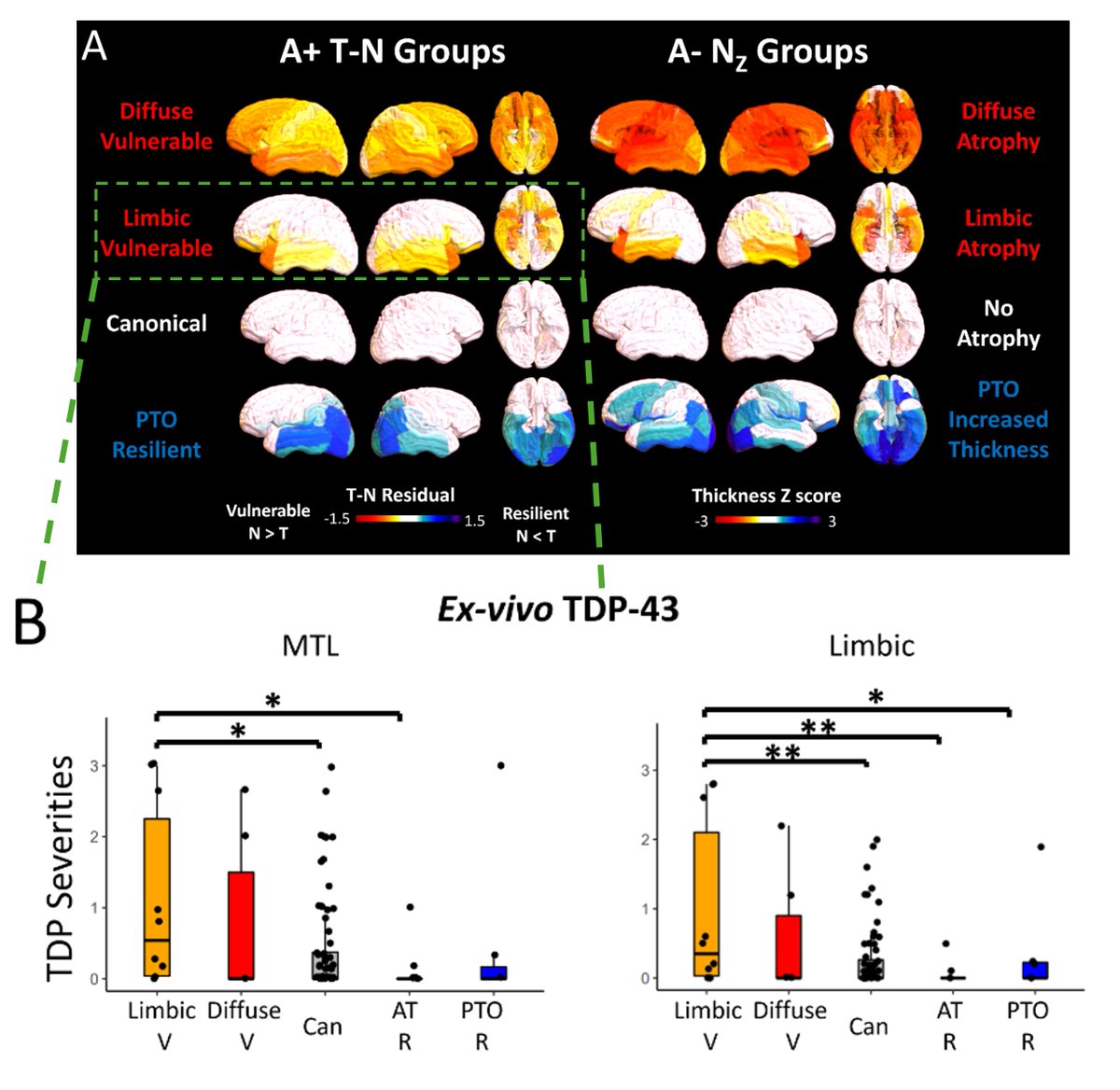 Unraveling Alzheimer's complexities: T-N mismatch reveals specific non-AD factors in #Alzheimer's continuum. A comprehensive study linking T-N mismatch to comorbidities through in vivo and ex vivo measurements. alz-journals.onlinelibrary.wiley.com/doi/full/10.10… @NIHAging @alzassociation @PennMedicine