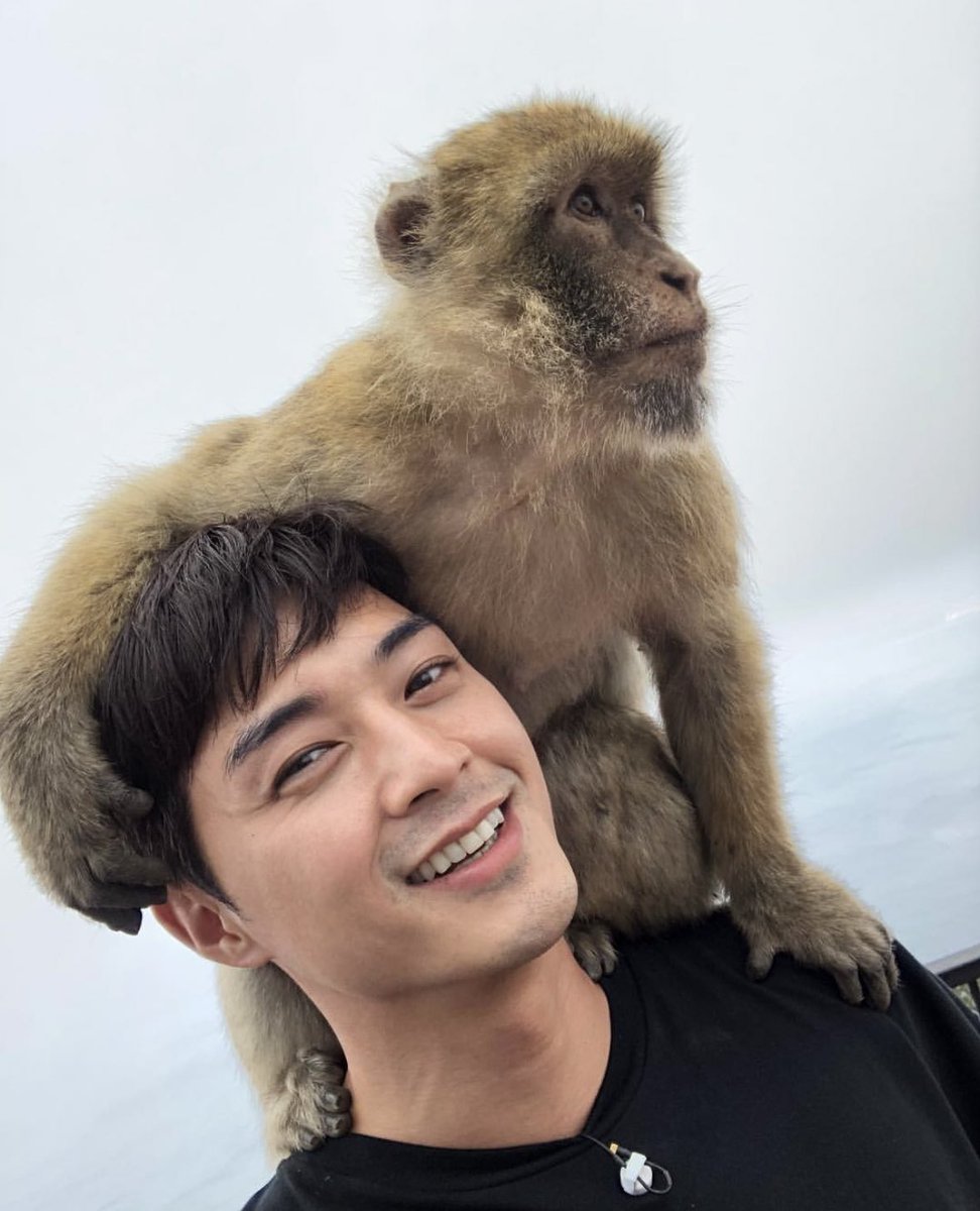 학생.. 어깨위에 원숭이앉아있어