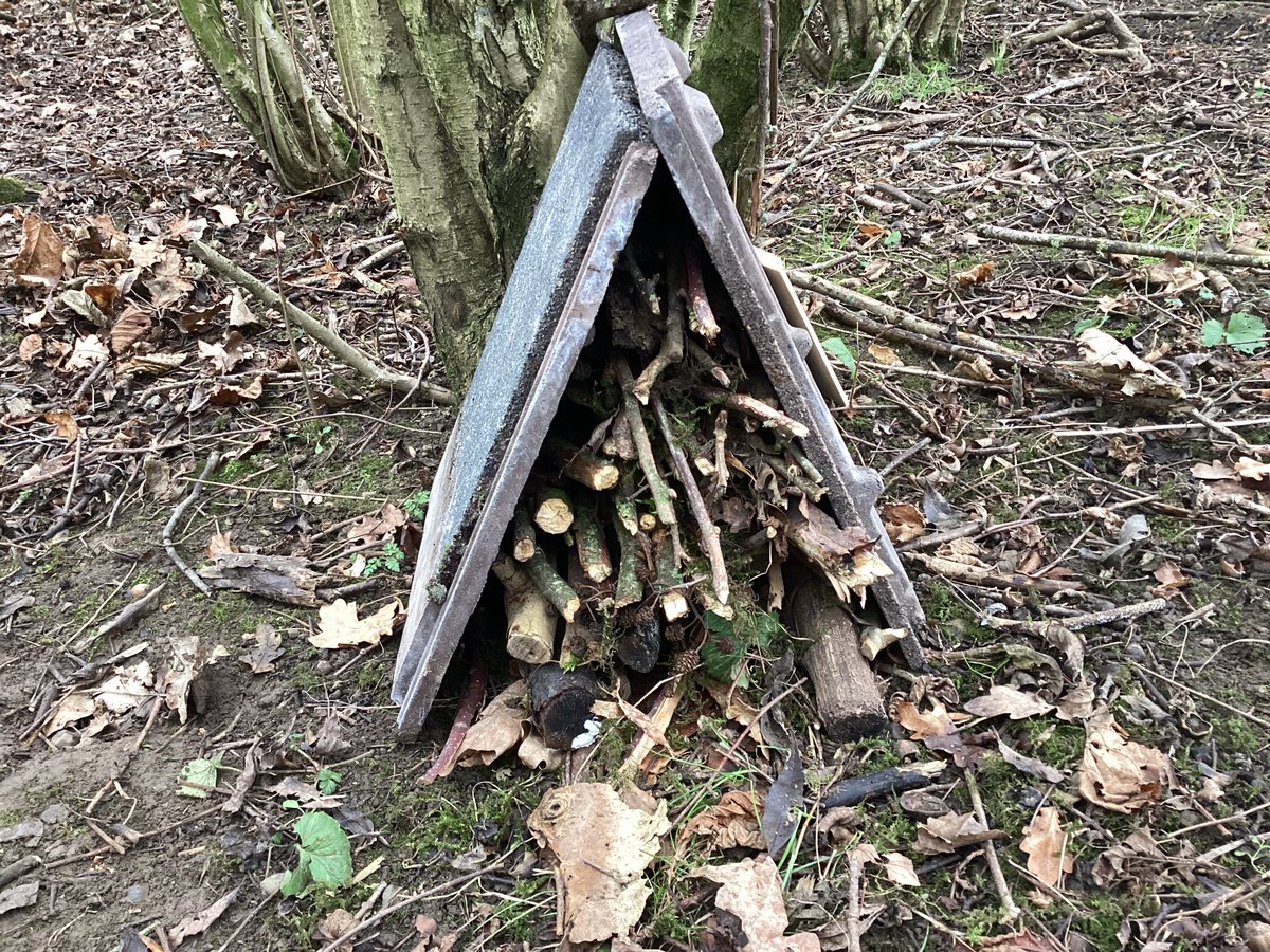 WHPEcoCommittee tweet media