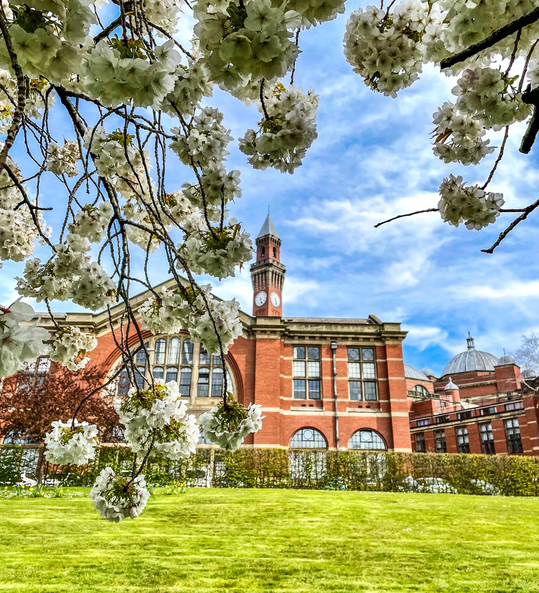 unibirmingham tweet picture