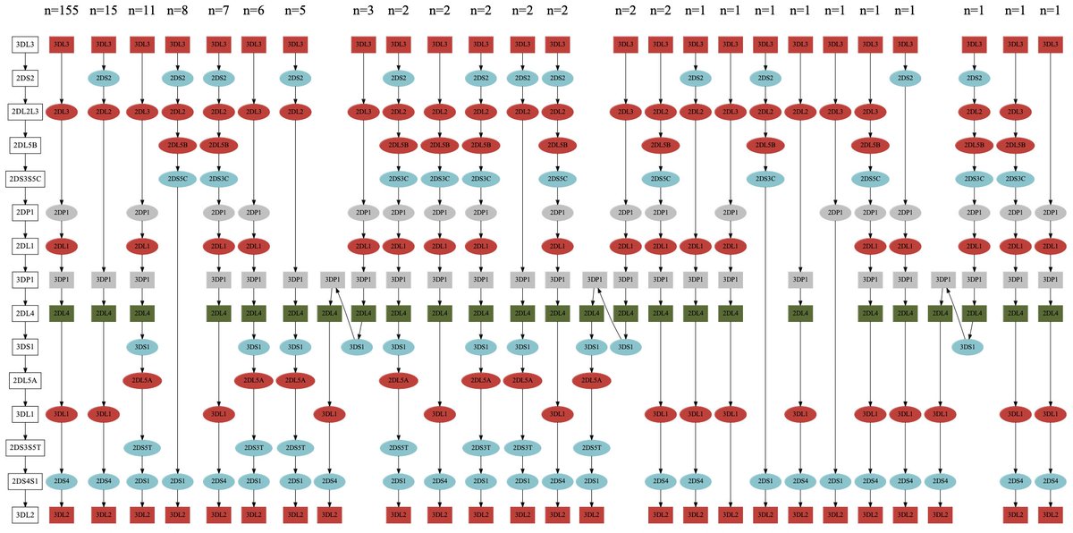 Want to annotate HLA/KIR genes and genotype them in a phased assembly? Try Immuannot, a new method from our group. It can identify novel alleles and reveal complex haplotype structures that short-read based methods may have troubles with. Available at github.com/YingZhou001/Im…