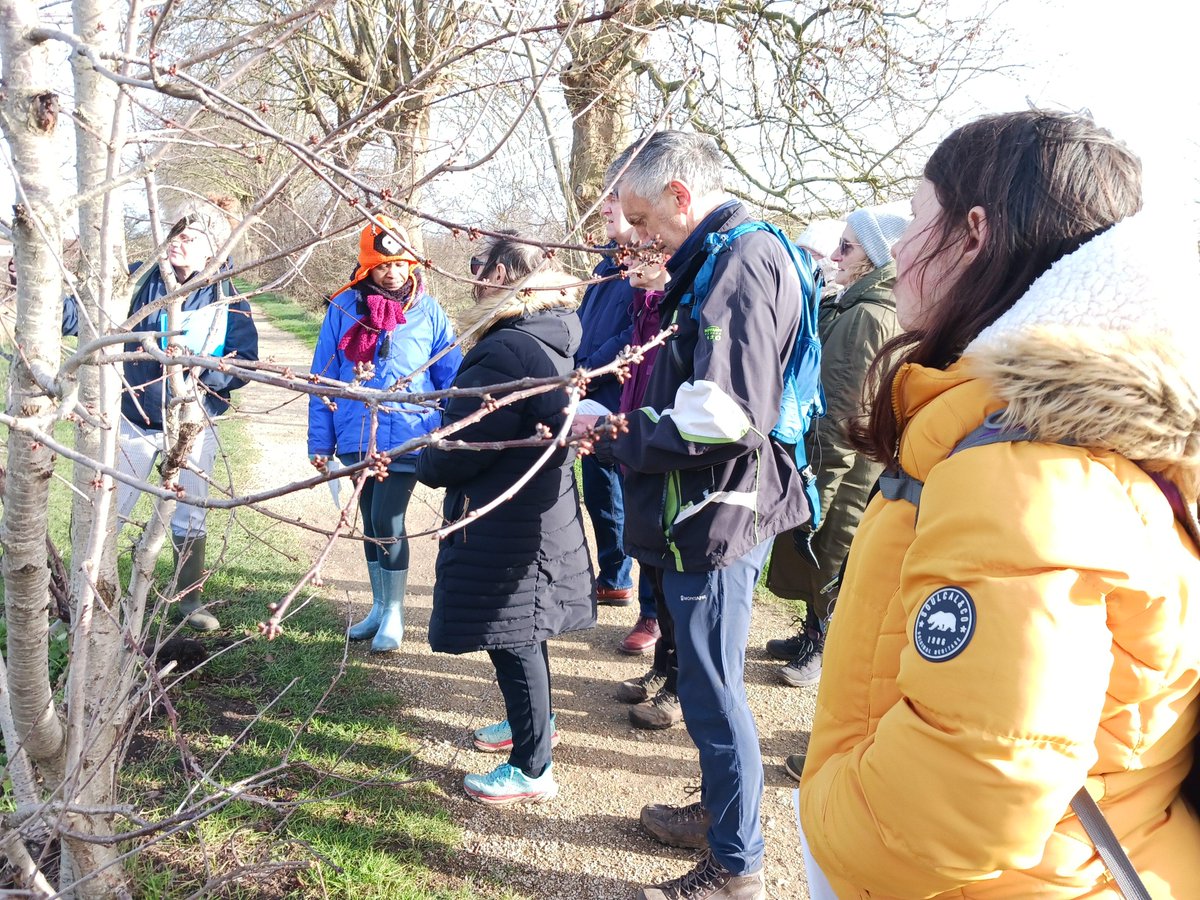 A fabulous time was had today with @EssexWildlife and @lbbdcouncil on our @GreenAngelsLT Winter Wildlife ID walk. Thanks to all involved! For more information about our FREE Green Angels courses, please contact greenangels@thelandtrust.org.uk   #wellbeing #greensocialprescribing