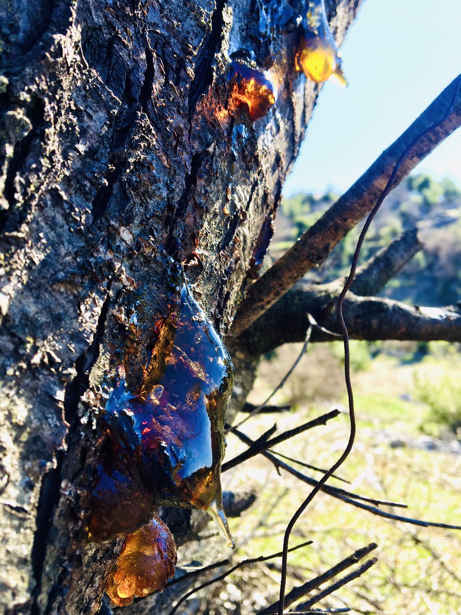 “Şu halde Rabbimizin hanği nimetlerini yalanlayabilirsiniz?
Rahman sûresi.21.ayet.”
#iyiakşamlar