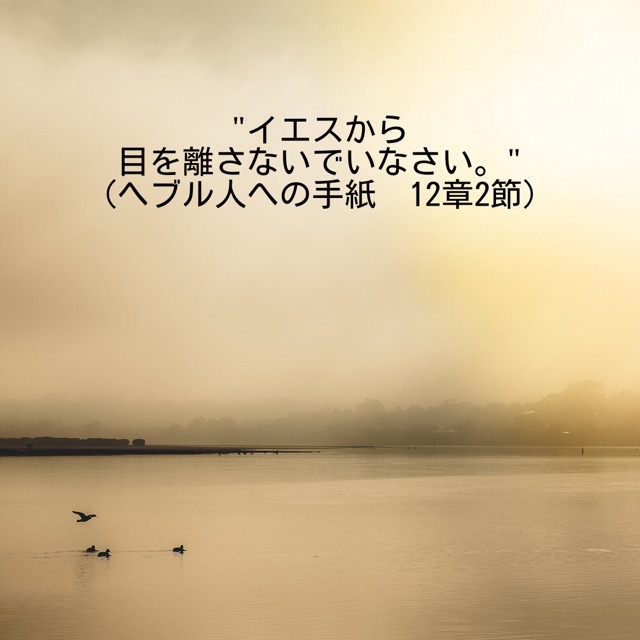 J373's tweet photo. "イエスから目を離さないでいなさい。"
(ヘブル人への手紙　12章2節) https://t.co/7ItXILQ58l
