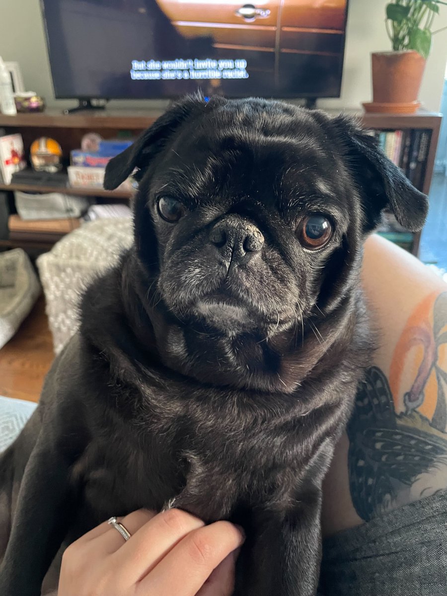 Marketcircle tweet media