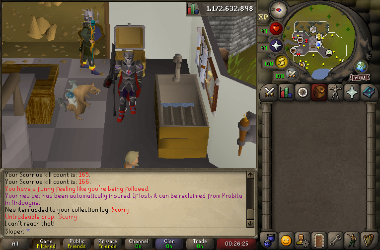 repols's tweet image. Pet #35 - Scurry