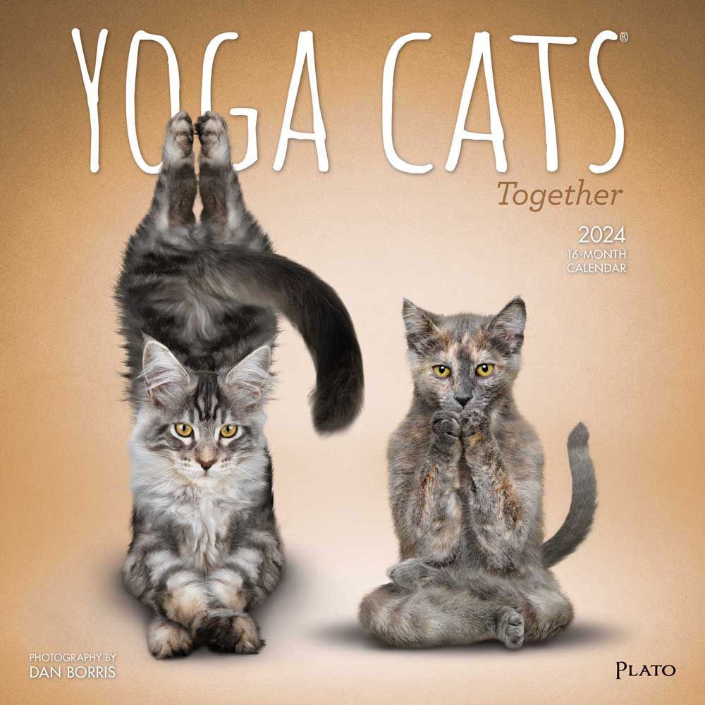 browntroutpub's tweet photo. IT ALL STARTED IN 2008 when renowned photographer #DanBorris got a request from a friend to photograph her doing #yoga alongside her dog. #YogaDogs idea took off. Next their cat, Snoosh, got in on the action and helped launch #YogaCats. #calendar #pets https://t.co/alQJcD3bNi https://t.co/KobK8tUGuv
