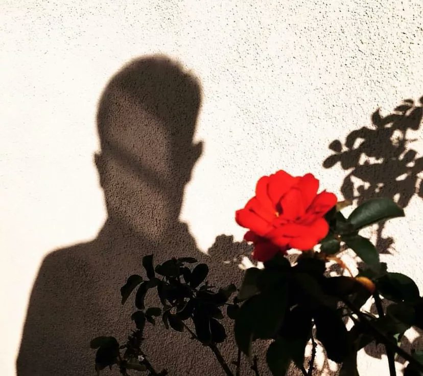 FILTER México tweet media