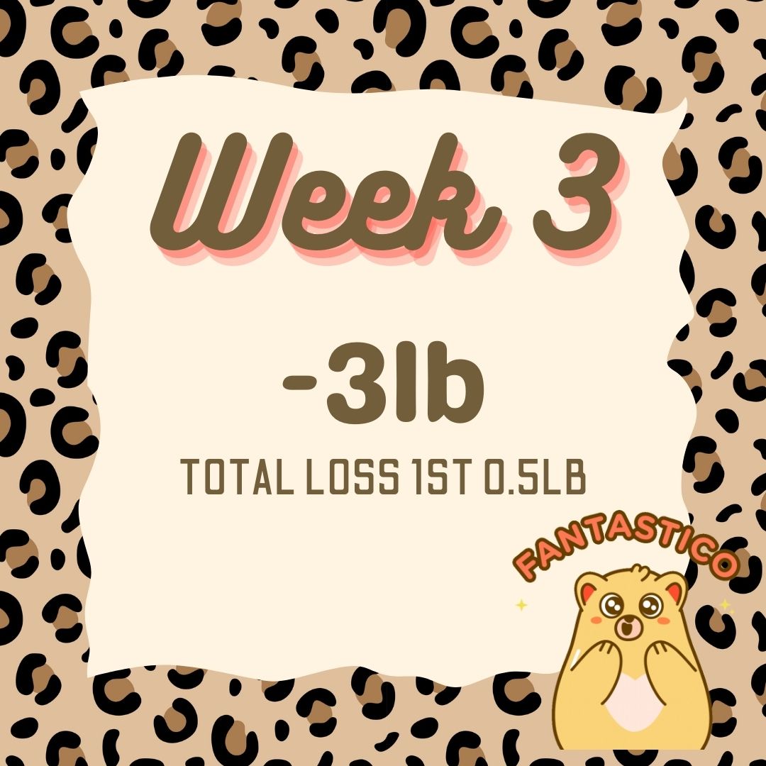 YorkiePuddin's tweet image. Week 3 of slimming. I have a lot to lose and will post up before pics when I have some after pics as I am too embarrassed to show my before right now. #one2onediet #one2onedietbycwp #slimming2024 #2024slimdown