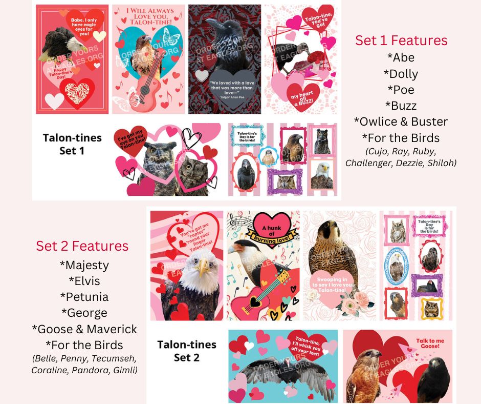 Looking for something different to give out to your friends for Valentines Day? 
This year buy "punny" Talon-tines and support our educational outreaches! You can purchase these sets for $12 each at eagles.org/talon-tines/ 

#valentine #valentines #valentinesgift #valentinesday