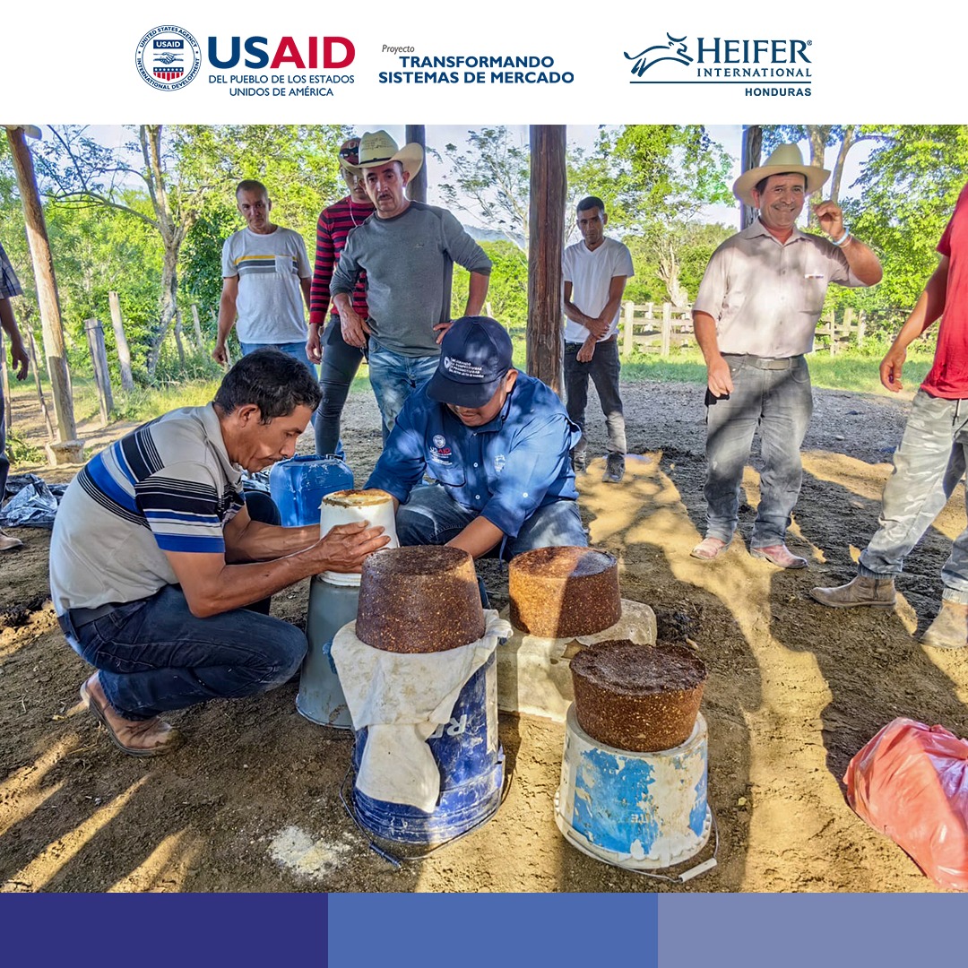 Acompañamiento de @tmshonduras en capacitaciones en Escuelas de Campo en donde se abordaron diversos temas. Estas actividades buscan fortalecer los conocimientos y capacidades en el manejo ganadero, promoviendo prácticas eficientes y sostenibles en la región. #AsíSíMeQuedo