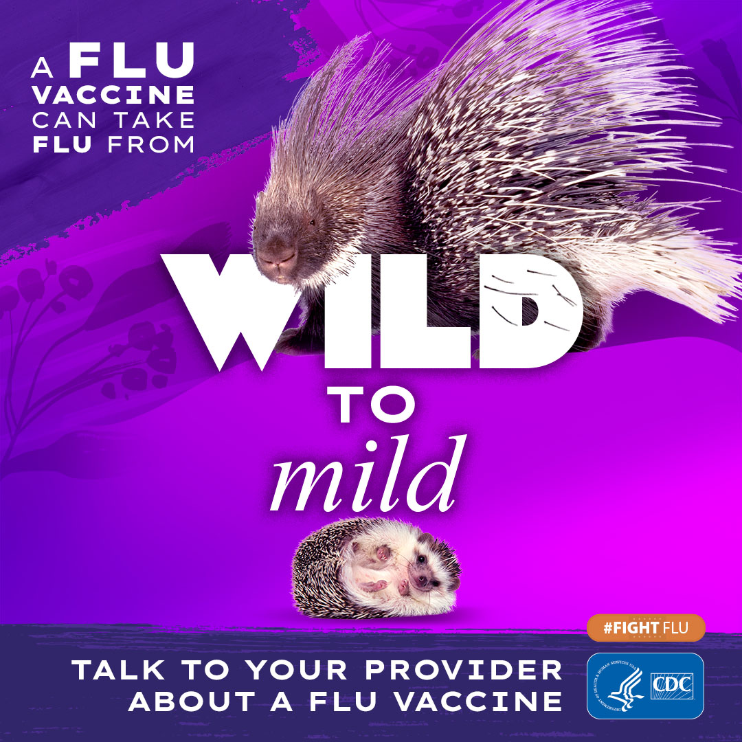 ProjectHealings's tweet photo. If you’re 65 years and older, you’re at higher risk of getting very sick if you get flu. A flu vaccine can tame the worst flu symptoms and reduce the risk of being hospitalized. Learn more at https://t.co/526OwJClFH
#FightFlu #CDC #PublicHealth #REACH #YouGotThis https://t.co/Nc05h3frZm