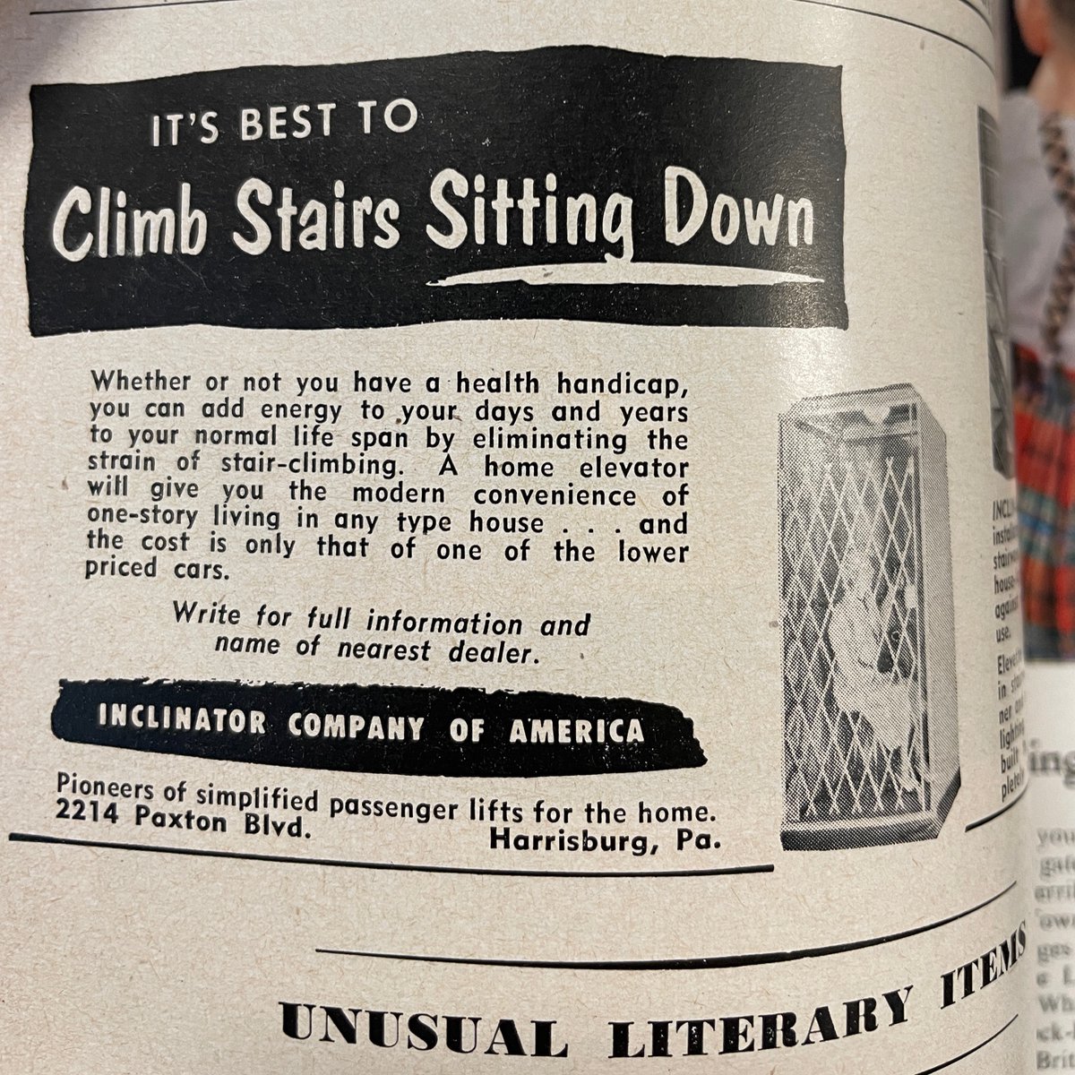 the needle-felted head of joyce carol oates tweet media