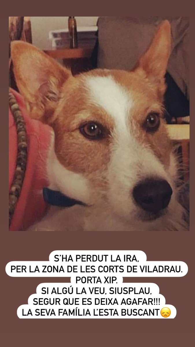 AjViladrau's tweet photo. https://t.co/2RTJXOdy6L