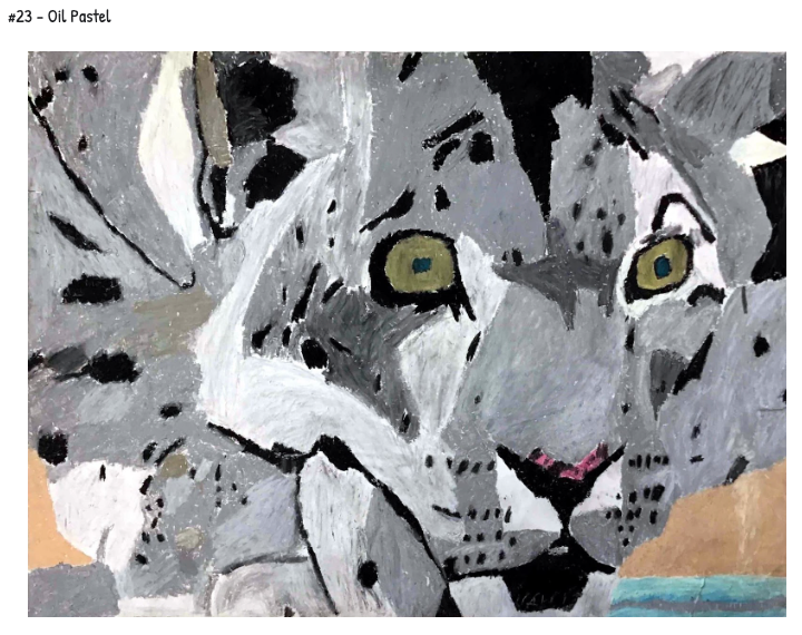 IAEA Student Show Wednesday, 4th Grade! 
Student: Osten Bien
Teacher: Rachel McKelvey
Everett Elementary School
Lake Forest