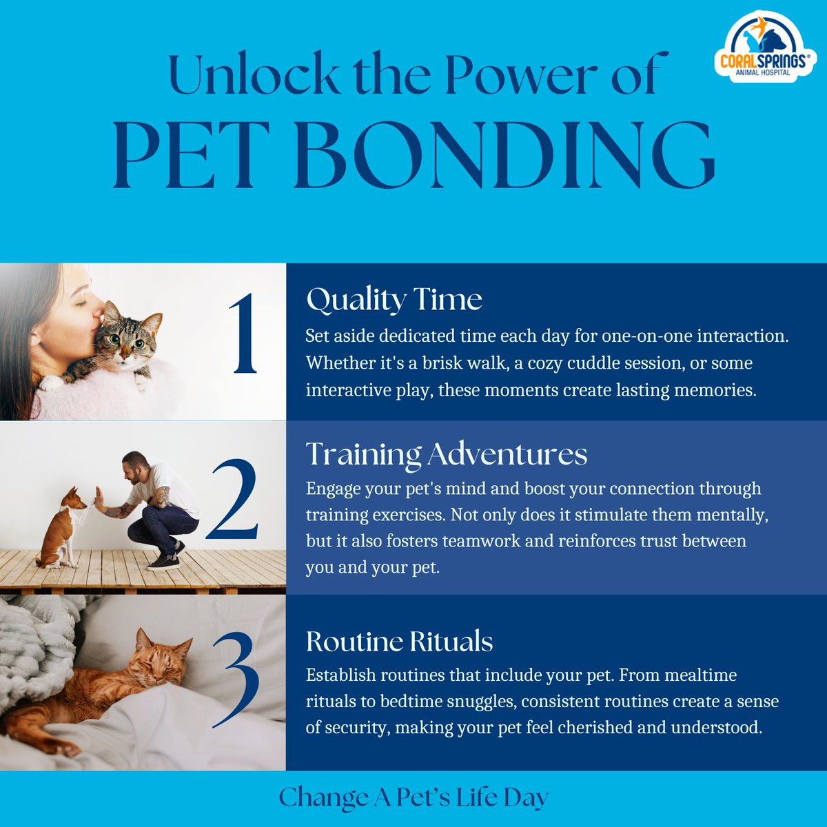 CSAnimalHosp's tweet image. Unlock the power of pet bonding this Change a Pet&apos;s Life Day! Explore these three ways to deepen the connection with your furry companion and improve their life. Let&apos;s celebrate the magic of the human-animal bond. 🌟🐕