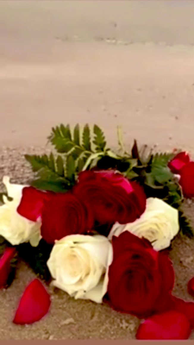 ★·.·آمٌــَےِ ؏َــلِْيّ اٰلڪنۨاٰنۨيۧـه۟ـ⁷⁰²·.·★ tweet media