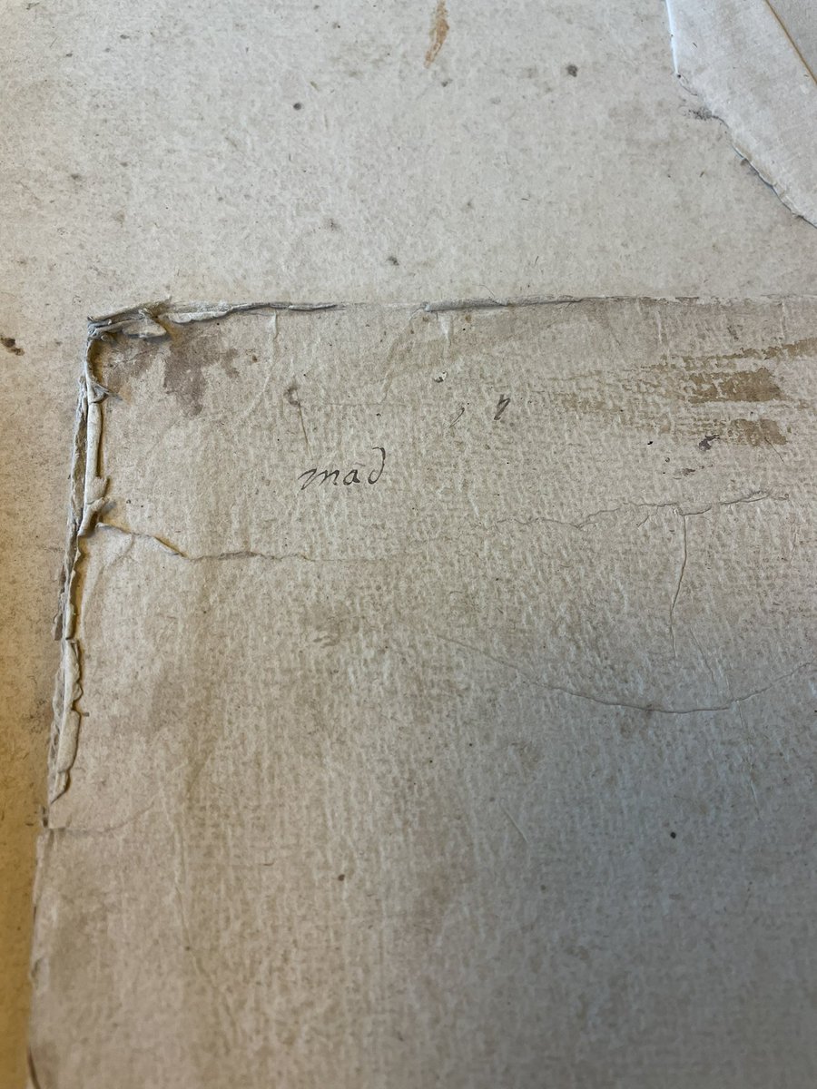 Aurélie L. tweet media