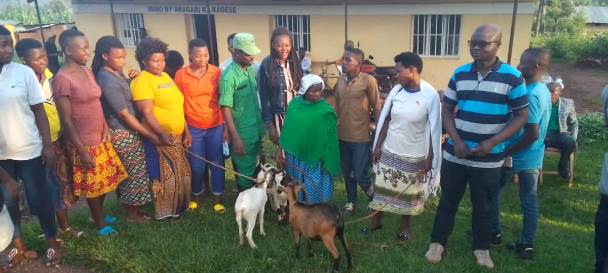 None ku wa 24/01/2024 @Nashosector mu kagali ka Kagese Munteko z'abaturage  itsinda twitezimbere ry'urubyiruko rw'abakobwa babyariye iwabo baremewe amatungo magufi ( ihene).