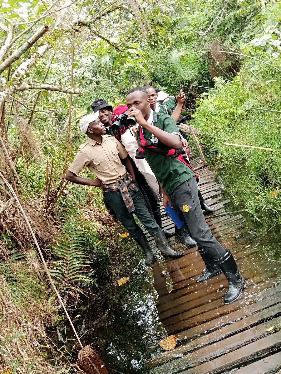 Western Uganda is just a whole vibe. Let's @ExploreUganda 
@ObukamaBwaTooro 
#kibalenationalpark
@DaintyIzoy