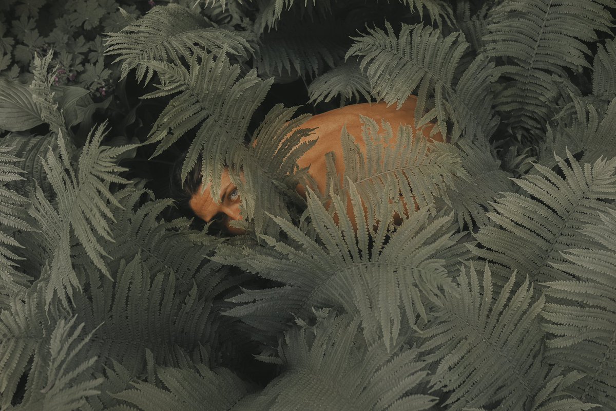 Alizé Jireh tweet media