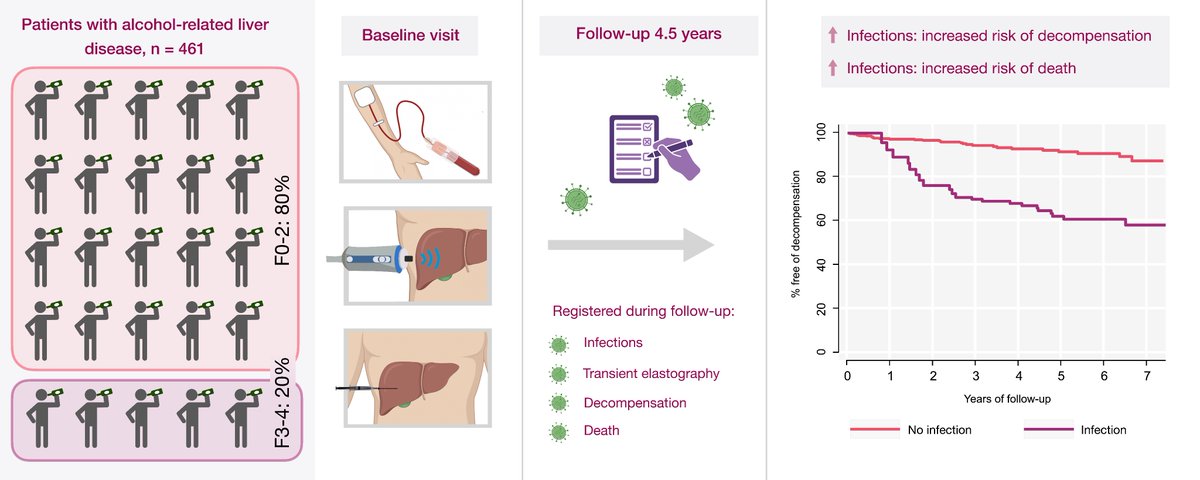 Stine Johansen (@stine_johansen_) on Twitter photo ❗️ Infections = worse prognosis in early ALD❗️
Just published in <a href="/JHEP_Reports/">JHEP Reports</a>
🦠 Despite early stage ALD, high incidence of infections: 1/3 during 4.5 years
🦠 Infections: Risk of death 8 times up
🦠 Risk of decompensation 5 times up
🔗 jhep-reports.eu/article/S2589-… ❗️ Infections = worse prognosis in early ALD❗️
Just published in <a href="/JHEP_Reports/">JHEP Reports</a>
🦠 Despite early stage ALD, high incidence of infections: 1/3 during 4.5 years
🦠 Infections: Risk of death 8 times up
🦠 Risk of decompensation 5 times up
🔗 jhep-reports.eu/article/S2589-…