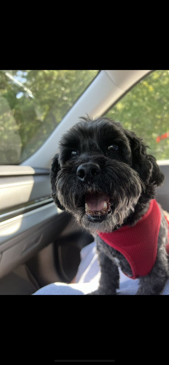 RussellBender tweet media