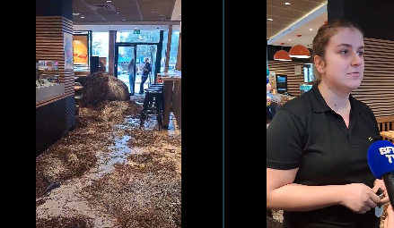 DiogenedArc's tweet image. Les agriculteurs ont la sympathie des 🇫🇷, mais s'ils continuent à détruire des McDo &amp;amp; à mettre des smicards au chômage, à saloper des rues, des bâtiments publics, ça risque de mal tourner. 
L'effet Gilets jaunes non merci !

[McDo est un des meilleurs clients de l'agriculture 🇫🇷]