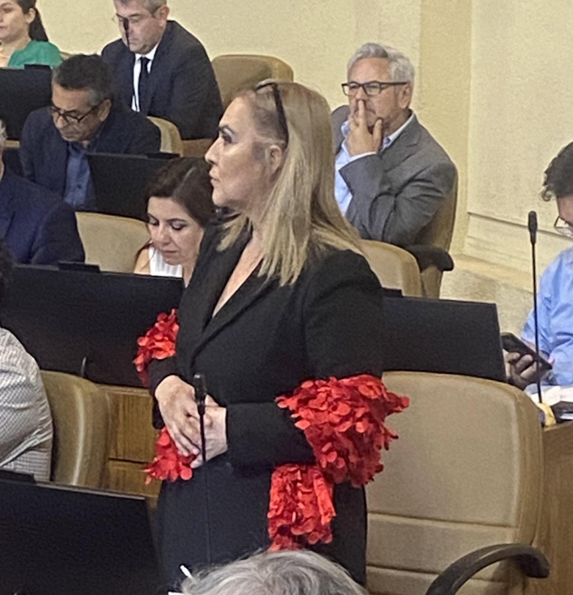 Y Pamela Jiles? Votando con la derecha, defendiendo a las AFP. Votó en contra de la idea de legislar la reforma de pensiones. Ahí está la "abuela de los sin monea", dejándolos sin moneas.