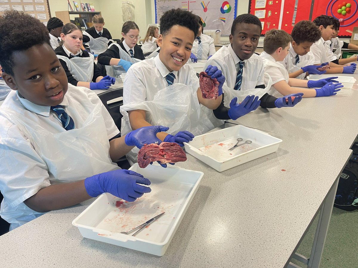 St Anne’s Science Department tweet media