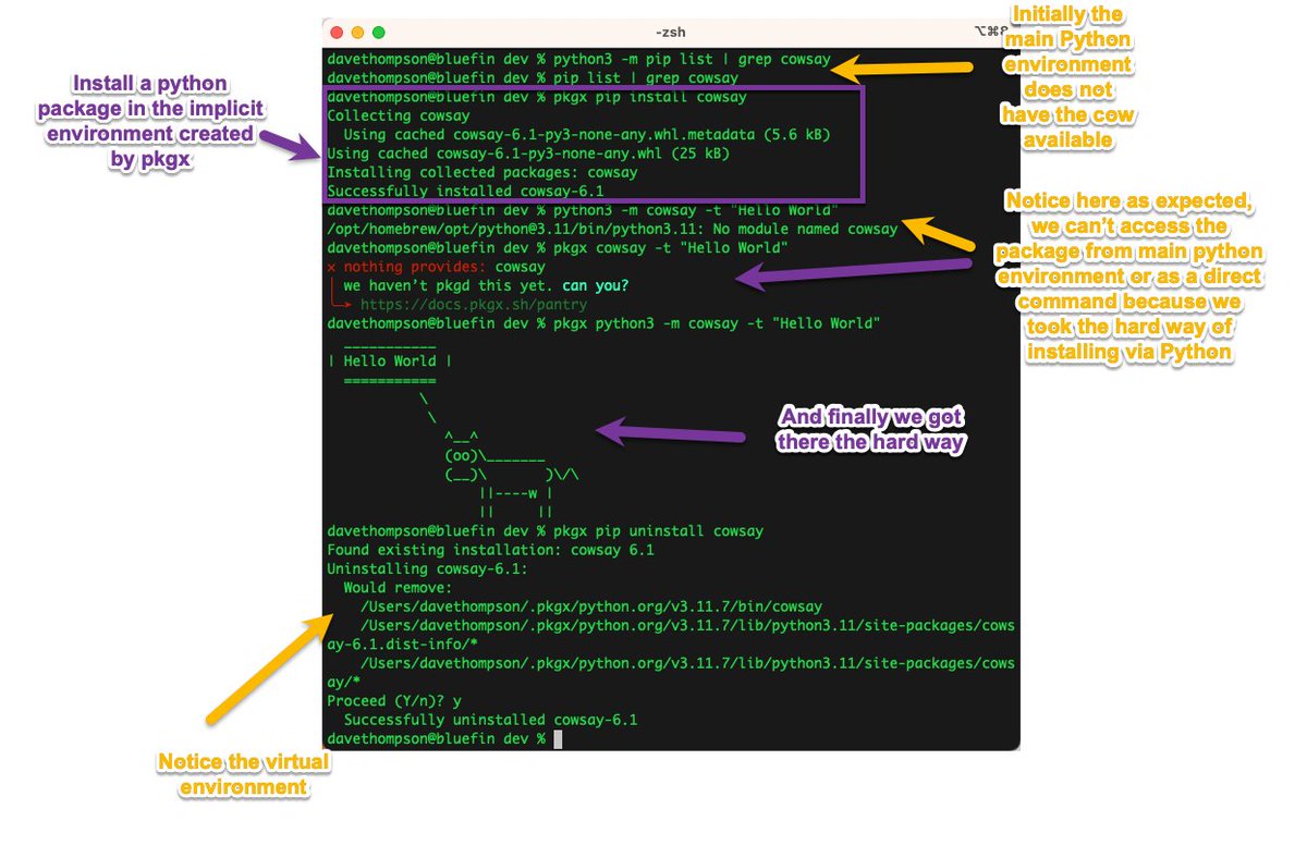 Dave Thompson tweet media