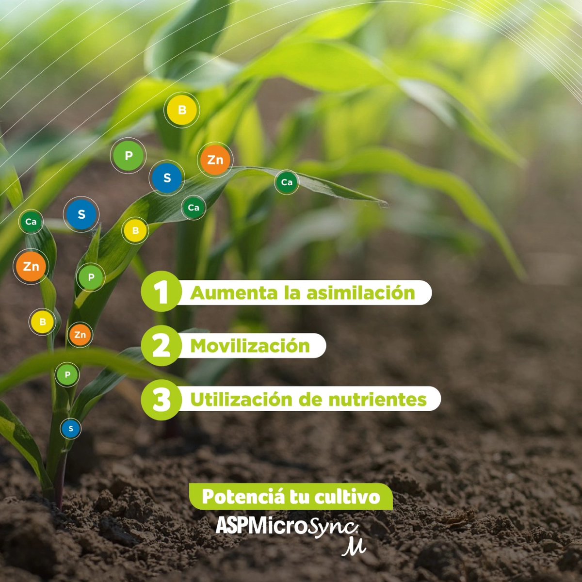 nutrien.ar tweet media