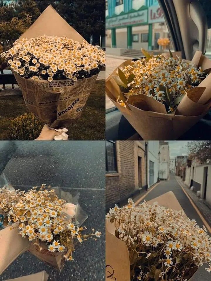 “Papatyaların ölünce kokması fazla anlamlı."