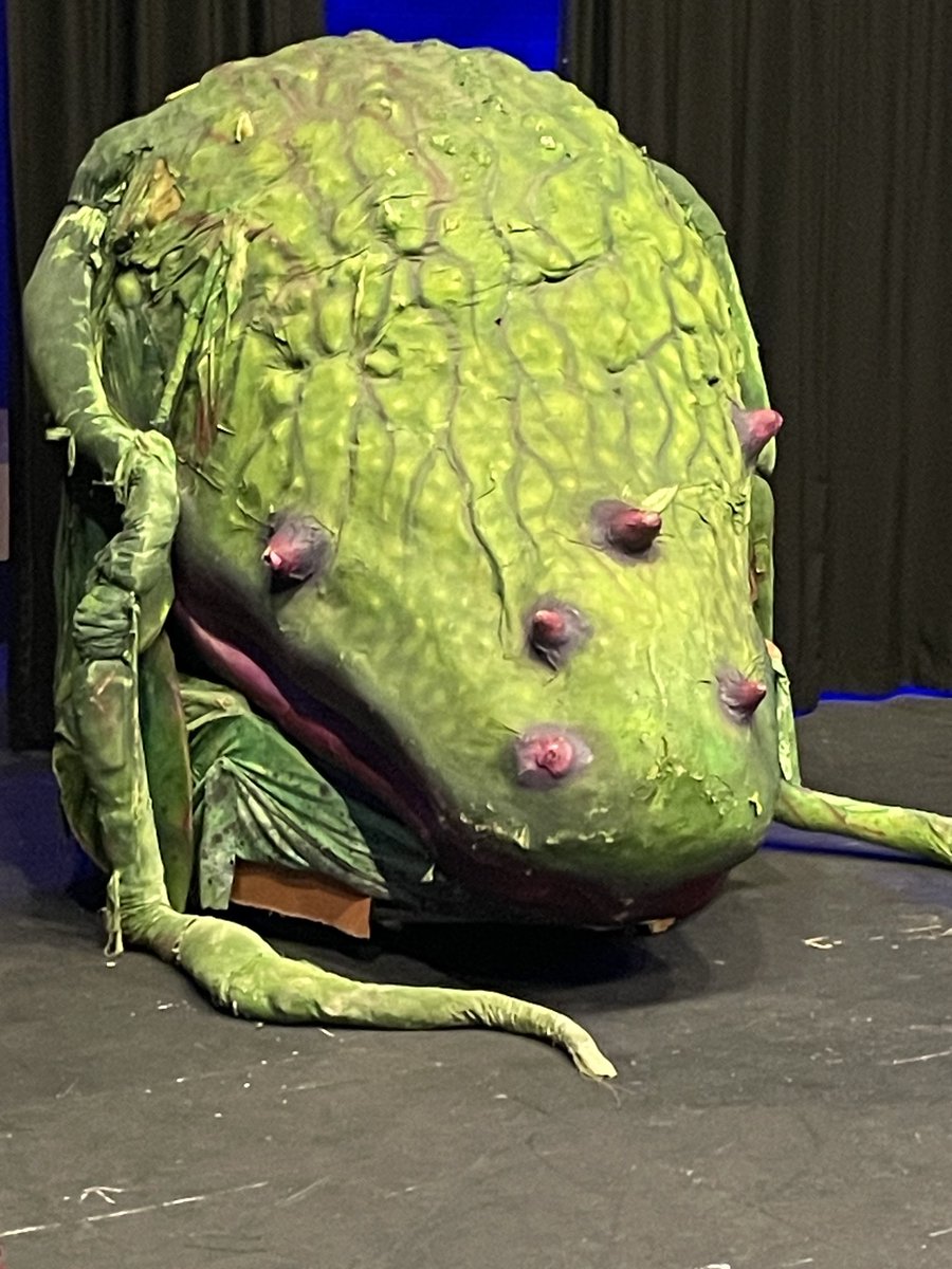 Can you guess what show is up next? Come and meet the amazing plant, Audrey Two, in ‘Little Shop of Horrors’ on Wed and Thurs next week at 7pm in the PAC. Almost completely sold out, so please book at ticketsource.co.uk/stjohnsleather… ⁦<a href="/StJohnsSurrey/">St John's School, Leatherhead</a>⁩
