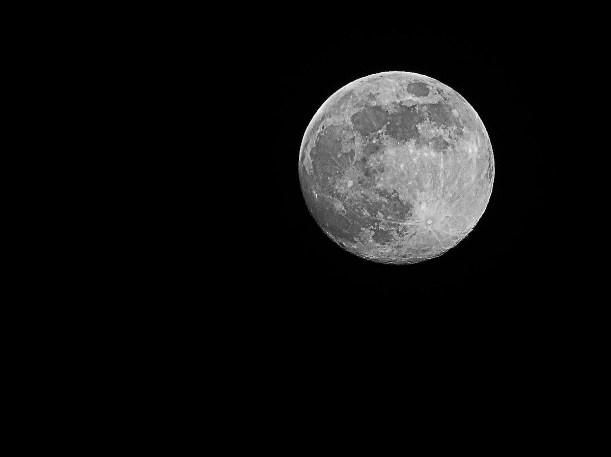 Due to an old injury I have not been able to get out & photography as much as I love to for a while. But the moon was calling me & I only had to stand in my own garden to get this. January 24 Waxing Gibbous Illumination: 99%