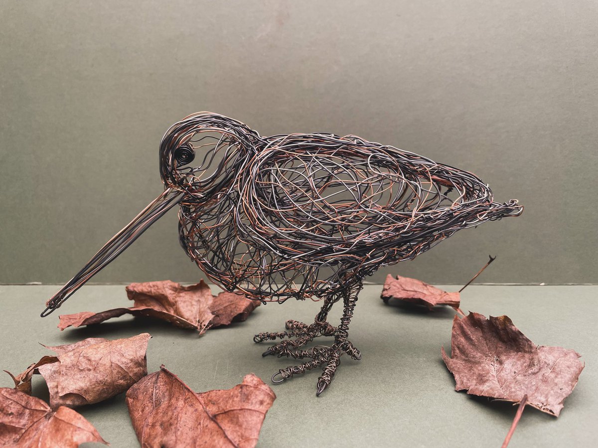 I’ve enjoyed doodling this little Woodcock recently,the various shades of Copper and Grey Wire really compliment each other #woodcock #wirebirdsculpture #wireartist #birdartist @SWTCarltonMarsh @Natures_Voice #artforsale