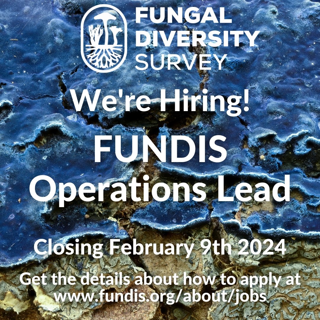 If you love handling administrative tasks, proactively assisting with organizational operations, and overseeing the bookkeeping of a nonprofit, then you might be a great fit as our organization-wide FUNDIS Operations Lead! REMOTE position, 20-25 hrs/wk open to anyone in the U.S.