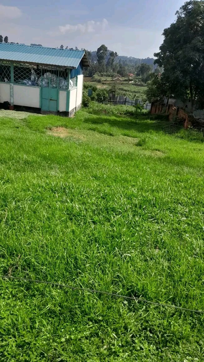 protus mudome (@_mudome) on Twitter photo State of Kapsabet county referral hospital under the watch of <a href="/Araap_Sang/">Stephen Sang, EGH</a> zero transformation #JKLive State of Kapsabet county referral hospital under the watch of <a href="/Araap_Sang/">Stephen Sang, EGH</a> zero transformation #JKLive