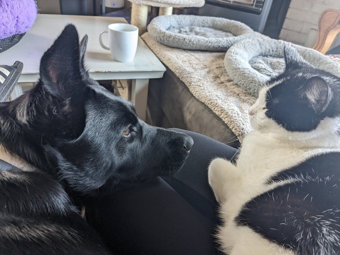 Chica bb loves her Munchie girl https://t.co/WPuMgKnGO5