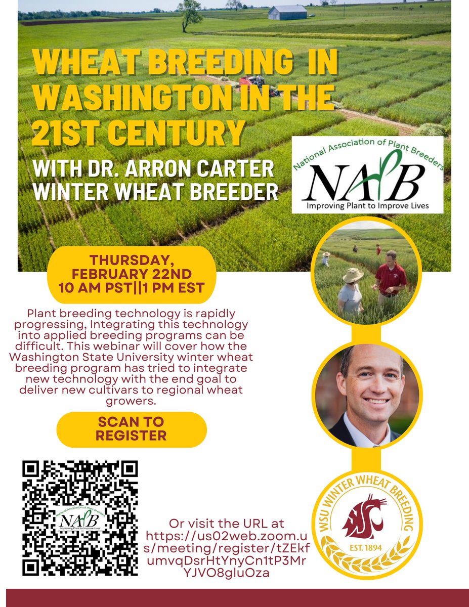 On February 22nd, wheat breeding in the 21st century will be discussed in NAPB's upcoming webinar. Do not miss it! Registration link: us02web.zoom.us/meeting/regist… Zoom link: us02web.zoom.us/j/85990760142