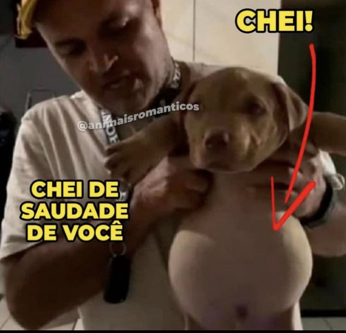 shitpostverdade's tweet photo. https://t.co/LSKGLQqZsM