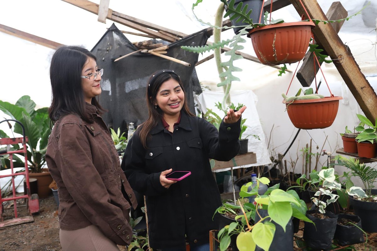 UTTamNorte's tweet photo. El día de ayer alumnos de la carrera de Procesos Industriales asistieron al taller de “Huertos Urbanos”🪴 en el Vivero Plantas y Jacarandas con el fin de fomentar la educación y las actividades que impacten de manera positiva a mitigar el calentamiento global. 🙌

#UTTN https://t.co/B8IvFLvTr6