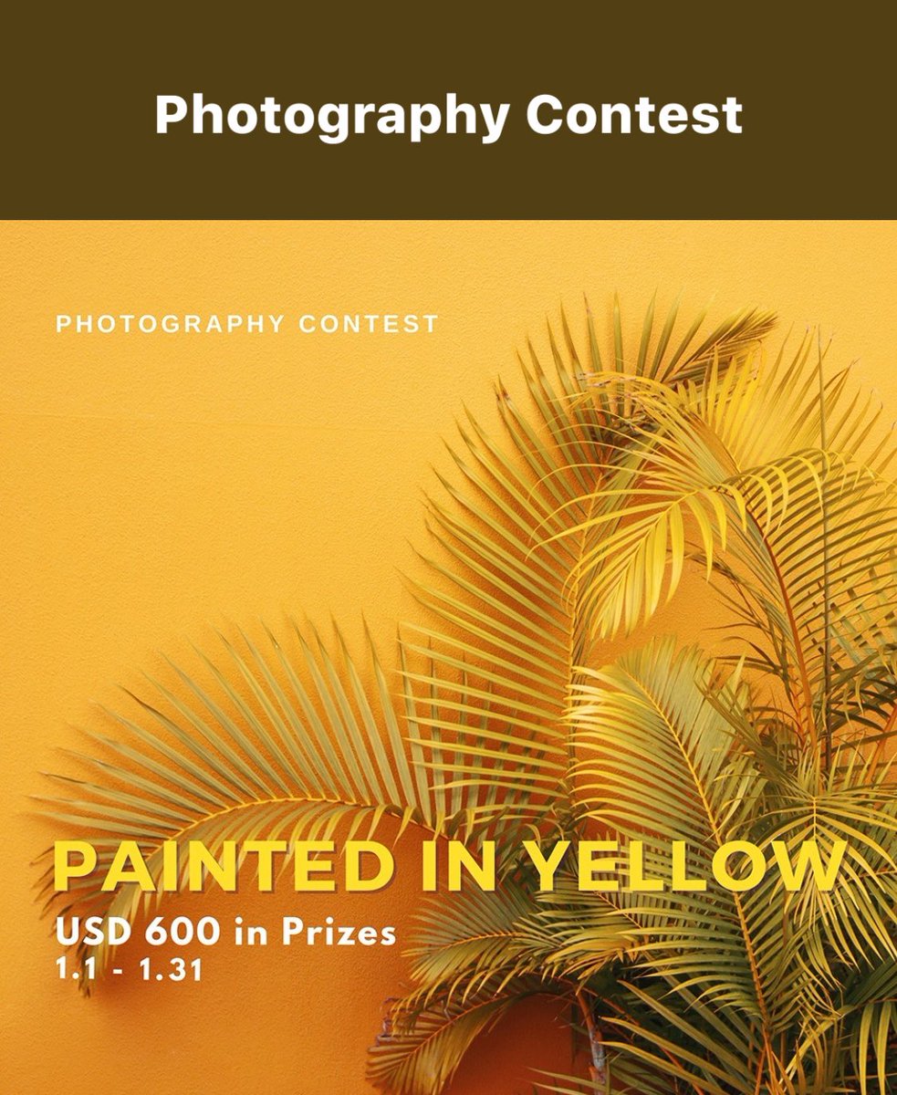 'Hey everyone!
 Just wanted to let you know about a photography contest!
 It's a great opportunity to showcase your photography skills and win a prize.. Let me know if you’re interested I’ll share you the link to submit your perfect click !!
📸 

#PhotographyContest #GetSnapping